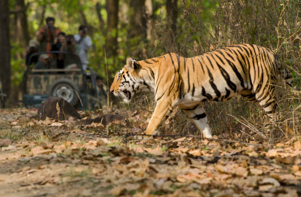 Gwalior